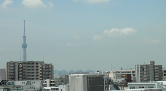 p6240246.jpg