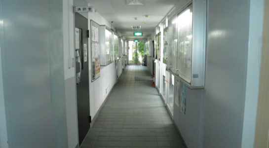 p6240255.jpg